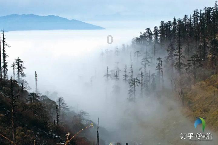 逃出神奇蘑菇林